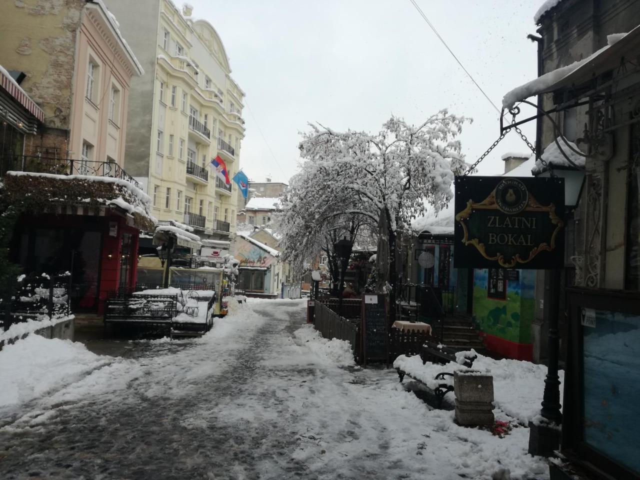 By The Park Free Parking Apartment Belgrade Exterior photo